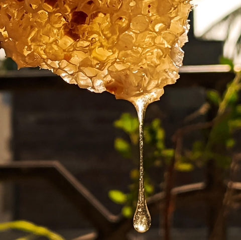 Backyard Honey